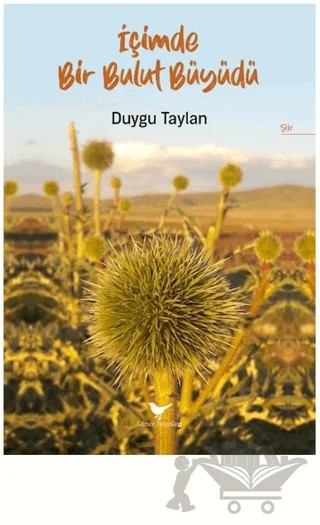 İçimde Bir Bulut Büyüdü – Duygu Taylan – Günce Yayınları kitap kapağı