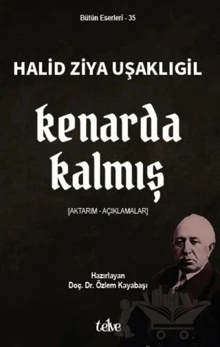 Kenarda Kalmış – Halit Ziya Uşaklıgil – Telve Kitap kitap kapağı