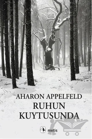 Ruhun Kuytusunda – Aharon Appelfeld – Metis Yayınları kitap kapağı