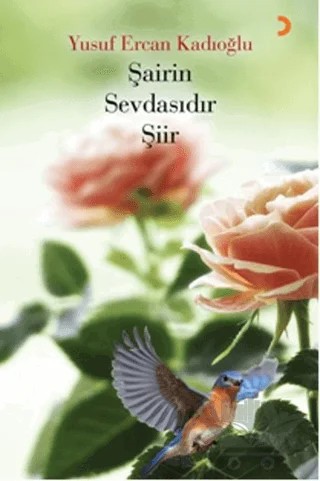 Şairin Sevdasıdır Şiir – Yusuf Ercan Kadıoğlu – Cinius Yayınları kitap kapağı