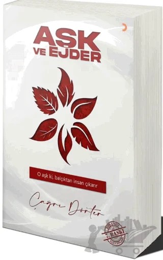 Aşk ve Ejder – Çağrı Dörter – Cinius Yayınları kitap kapağı