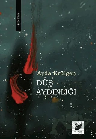 Düş Aydınlığı – Ayda Erülgen – Anima Yayınları kitap kapağı
