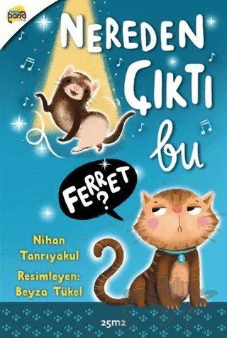 Nereden Çıktı Bu Ferret? – Nihan Tanrıyakul – 25m2 Kitap kitap kapağı