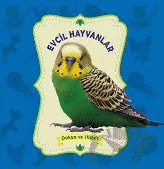 Dokun ve Hisset: Evcil Hayvanlar – Kolektif – 0-6 Yaş Yayınları kitap kapağı