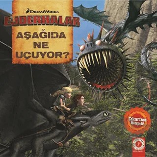 Ejderhalar - Aşağıda Ne Uçuyor – Kolektif – Artemis Yayınları kitap kapağı