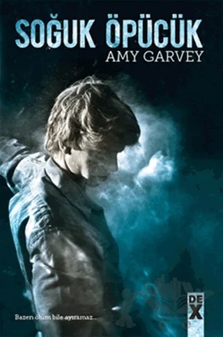 Soğuk Öpücük – Amy Garvey – Dex Yayınevi kitap kapağı