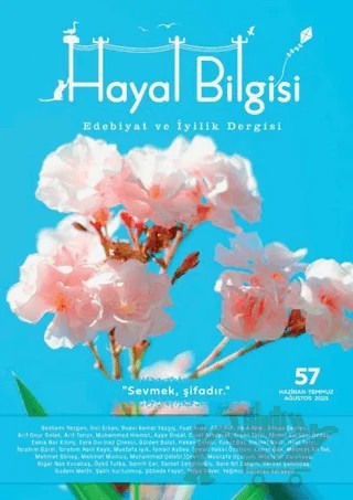 Hayal Bilgisi Dergisi Sayı: 57 – Hayal Bilgisi Dergisi kitap kapağı
