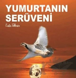 Yumurtanın Serüveni – Esila Tekkeşin – Kitap72 Yayınları kitap kapağı