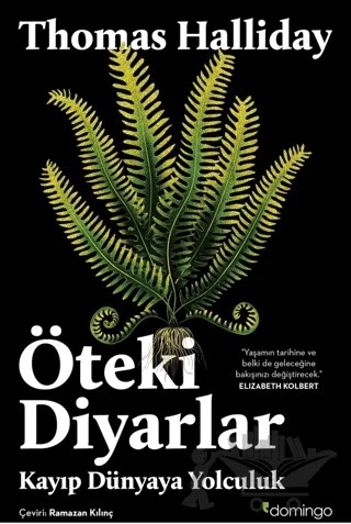 Öteki Diyarlar: Kayıp Dünyaya Yolculuk – Thomas Halliday – Domingo Yayınevi kitap kapağı