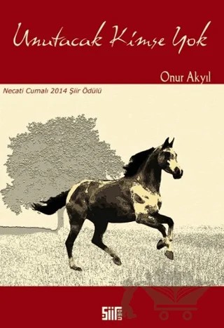 Unutacak Kimse Yok – Onur Akyıl – Şiirden Yayıncılık kitap kapağı
