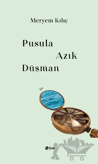 Pusula Azık Düşman – Meryem Kılıç – Şule Yayınları kitap kapağı