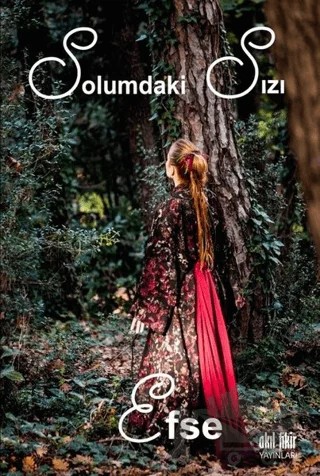 Solumdaki Sızı – Efse – Akıl Fikir Yayınları kitap kapağı