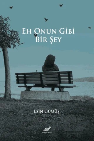 Eh Onun Gibi Bir Şey – Esin Gümüş – Paradigma Akademi Yayınları kitap kapağı
