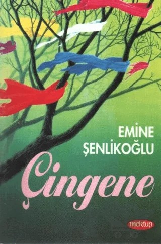 Çingene – Emine Şenlikoğlu – Mektup Yayınları kitap kapağı