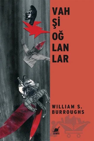 Vahşi Oğlanlar – William S. Burroughs – Ayrıntı Yayınları kitap kapağı