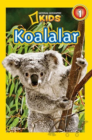 Koalalar - Seviye 1 – Laura Marsh – Beta Kids kitap kapağı