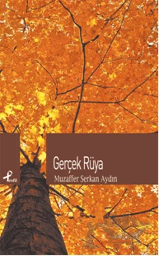 Gerçek Rüya – Muzaffer Serkan Aydın – Profil Kitap kitap kapağı