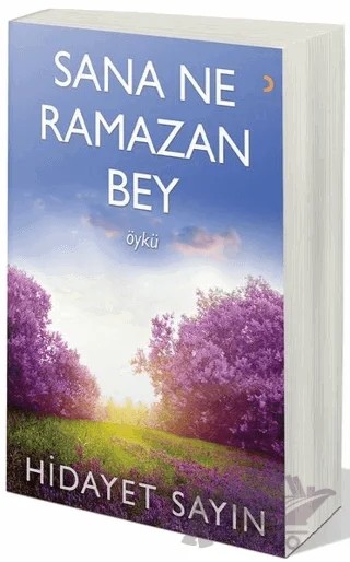 Sana Ne Ramazan Bey – Hidayet Sayın – Cinius Yayınları kitap kapağı