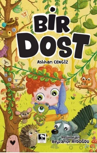 Bir Dost – Aslıhan Cengiz – Çınaraltı Yayınları kitap kapağı