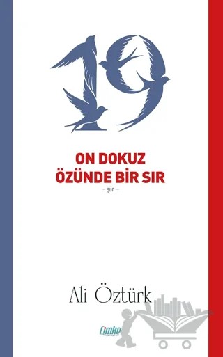 On Dokuz Özünde Bir Sır – Ali Öztürk – Çimke Yayınevi kitap kapağı