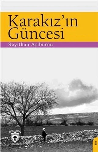 Karakız’ın Güncesi – Seyithan Arıburnu – Dorlion Yayınları kitap kapağı