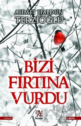 Bizi Fırtına Vurdu – Ahmet Haldun Terzioğlu – Panama Yayıncılık kitap kapağı