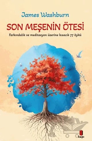 Son Meşenin Ötesi – James Washburn – Kapı Yayınları kitap kapağı