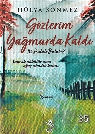 Gözlerim Yağmurda Kaldı – Hülya Sönmez – Venedik Yayınları kitap kapağı
