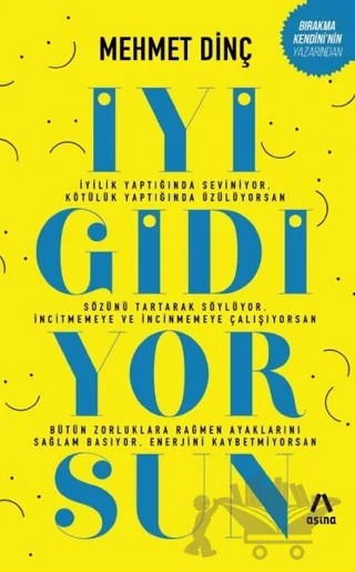 İyi Gidiyorsun – Mehmet Dinç – Aşina Yayınları kitap kapağı