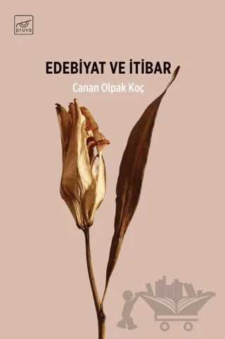 Edebiyat ve İtibar – Canan Olpak Koç – Pruva Yayınları kitap kapağı