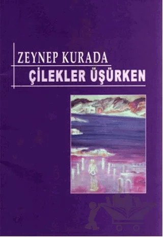 Çilekler Üşürken – Zeynep Kurada – Artshop Yayıncılık kitap kapağı