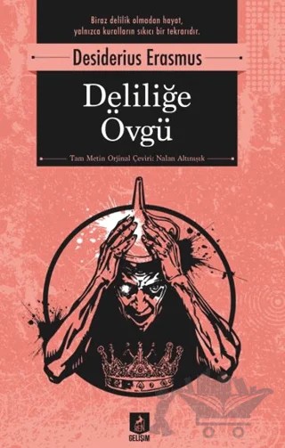 Deliliğe Övgü – Desiderius Erasmus – Ren Kitap kitap kapağı
