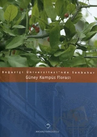Boğaziçi Üniversitesi’nde Sonbahar – Ranan Ata – Boğaziçi Üniversitesi Yayınevi kitap kapağı
