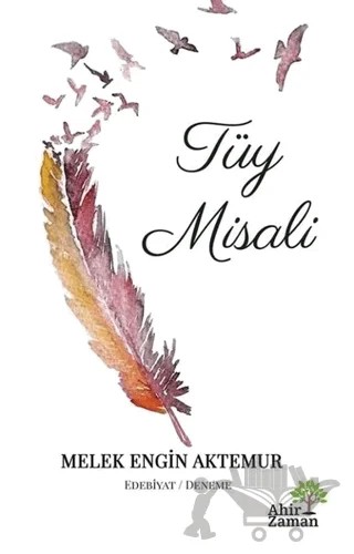 Tüy Misali – Melek Engin Aktemur – Ahir Zaman kitap kapağı