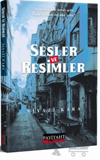 Sesler ve Resimler – Niyazi Kara – Payitaht Yayınları kitap kapağı