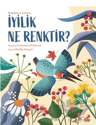 İyilik Ne Renktir? – Maddalena Schiavo – Erdem Çocuk kitap kapağı