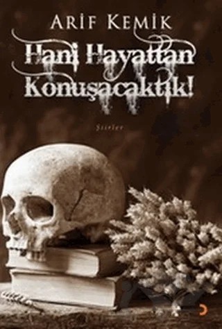 Hani Hayattan Konuşacaktık! – Arif Kemik – Cinius Yayınları kitap kapağı