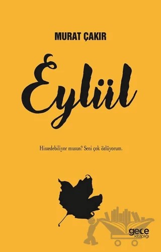 Eylül – Murat Çakır – Gece Kitaplığı kitap kapağı