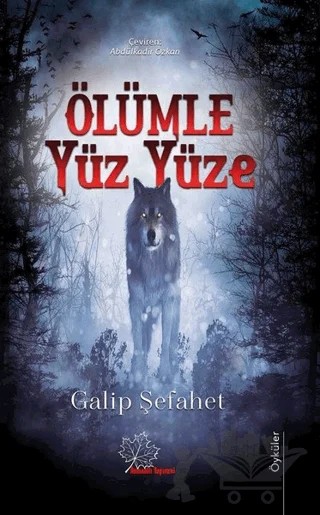 Ölümle Yüz yüze – Galip Şefahet – Asmaaltı Yayınevi kitap kapağı