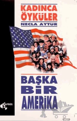 Başka Bir Amerika Kadınca Öyküler – Necla Aytür – Papirüs Yayınevi kitap kapağı