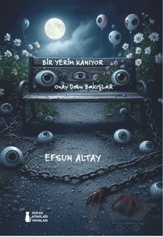 Bir Yerim Kanıyor Onay Dolu Bakışlar – Efsun Altay – Sokak Kitapları Yayınları kitap kapağı
