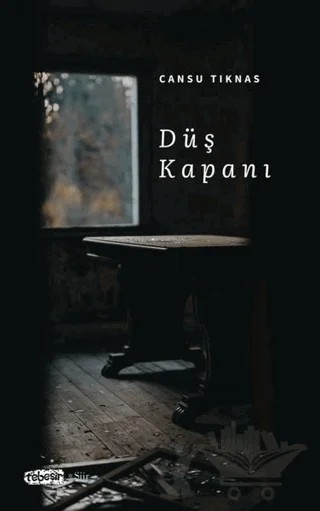 Düş Kapanı – Cansu Tıknas – Tebeşir Yayınları kitap kapağı