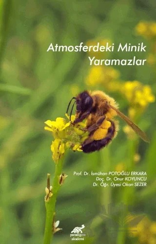 Atmosferdeki Minik Yaramazlar – İsmühan Potoğlu Erkara, Okan Sezer, Onur Koyuncu – Paradigma Akademi Yayınları kitap kapağı