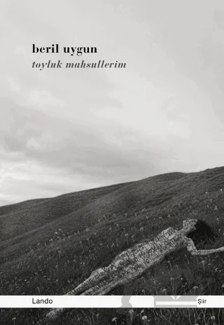 Toyluk Mahsullerim – Beril Uygun – Lando Yayınları kitap kapağı