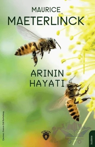 Arının Hayatı – Maurice Maeternick – Dorlion Yayınları kitap kapağı