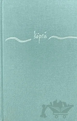 Köprü – Burcu Altıparmak – Cinius Yayınları kitap kapağı