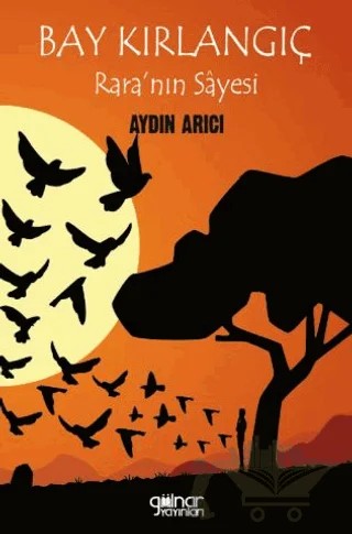 Bay Kırlangıç Rara’nın Sâyesi – Aydın Arıcı – Gülnar Yayınları kitap kapağı