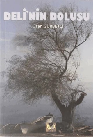 Deli'nin Dolusu – Ozan Gurbetçi – Dörtlük Yayınları kitap kapağı