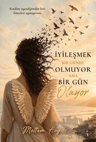 İyileşmek Bir Günde Olmuyor ama Bir Gün Oluyor – Meltem Akyıldız – İkinci Adam Yayınları kitap kapağı