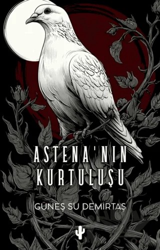 Astena’nın Kurtuluşu – Güneş Su Demirtaş – Kaktüs Sanat kitap kapağı